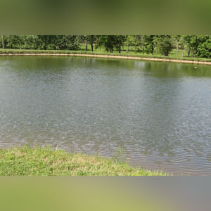 10± acres, home, pole barn, shop building, fenced pastures, and pond. The impressive interior of the home boasts 4 bedrooms and 3 full baths. The master suite is 16â??x16â?? with a large walk-in closet. The master bath has a double sink and a large custom shower. The 22â??x14â?? eat-in kitchen has custom cabinets, granite counter tops, and a brick-front raised fireplace. The large main level also includes the 20â??x14â?? living room with fireplace, 18â??x16â?? family room, 14â??x12â?? office area, mud room, and laundry room. This spacious main level floor plan is ideal for the family as well as entertaining. The full basement is partially finished, and the 2-car attached garage includes a large storage area. Other amenities within the home include a Lennox LP gas forced-air furnace, central air, Pella windows, a newer roof, cathedral ceilings, ceramic tile and wood flooring, ceiling fans, and a Radionon system. The exterior is beautifully landscaped with mature trees, colorful perennials, a small orchard and grape vineyard, a large play area, and a ½ acre stocked pond. The 60â??x50â?? pole barn with walk-in door and 14â??-high end slider includes grooved concrete, maternity pens, custom Gingway gates, a working chute, and 4 individual turn-out pens. There are 6 fenced and cross-fenced pasture areas, each with its own Ritchie waterer. The 34â??x32â?? shop building has a concrete floor, porch, and walk-in and overhead doors.