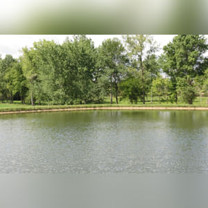 10± acres, home, pole barn, shop building, fenced pastures, and pond. The impressive interior of the home boasts 4 bedrooms and 3 full baths. The master suite is 16â??x16â?? with a large walk-in closet. The master bath has a double sink and a large custom shower. The 22â??x14â?? eat-in kitchen has custom cabinets, granite counter tops, and a brick-front raised fireplace. The large main level also includes the 20â??x14â?? living room with fireplace, 18â??x16â?? family room, 14â??x12â?? office area, mud room, and laundry room. This spacious main level floor plan is ideal for the family as well as entertaining. The full basement is partially finished, and the 2-car attached garage includes a large storage area. Other amenities within the home include a Lennox LP gas forced-air furnace, central air, Pella windows, a newer roof, cathedral ceilings, ceramic tile and wood flooring, ceiling fans, and a Radionon system. The exterior is beautifully landscaped with mature trees, colorful perennials, a small orchard and grape vineyard, a large play area, and a ½ acre stocked pond. The 60â??x50â?? pole barn with walk-in door and 14â??-high end slider includes grooved concrete, maternity pens, custom Gingway gates, a working chute, and 4 individual turn-out pens. There are 6 fenced and cross-fenced pasture areas, each with its own Ritchie waterer. The 34â??x32â?? shop building has a concrete floor, porch, and walk-in and overhead doors.