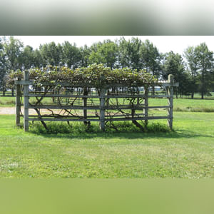 10± acres, home, pole barn, shop building, fenced pastures, and pond. The impressive interior of the home boasts 4 bedrooms and 3 full baths. The master suite is 16â??x16â?? with a large walk-in closet. The master bath has a double sink and a large custom shower. The 22â??x14â?? eat-in kitchen has custom cabinets, granite counter tops, and a brick-front raised fireplace. The large main level also includes the 20â??x14â?? living room with fireplace, 18â??x16â?? family room, 14â??x12â?? office area, mud room, and laundry room. This spacious main level floor plan is ideal for the family as well as entertaining. The full basement is partially finished, and the 2-car attached garage includes a large storage area. Other amenities within the home include a Lennox LP gas forced-air furnace, central air, Pella windows, a newer roof, cathedral ceilings, ceramic tile and wood flooring, ceiling fans, and a Radionon system. The exterior is beautifully landscaped with mature trees, colorful perennials, a small orchard and grape vineyard, a large play area, and a ½ acre stocked pond. The 60â??x50â?? pole barn with walk-in door and 14â??-high end slider includes grooved concrete, maternity pens, custom Gingway gates, a working chute, and 4 individual turn-out pens. There are 6 fenced and cross-fenced pasture areas, each with its own Ritchie waterer. The 34â??x32â?? shop building has a concrete floor, porch, and walk-in and overhead doors.