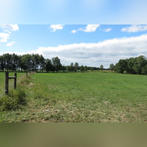 10± acres, home, pole barn, shop building, fenced pastures, and pond. The impressive interior of the home boasts 4 bedrooms and 3 full baths. The master suite is 16â??x16â?? with a large walk-in closet. The master bath has a double sink and a large custom shower. The 22â??x14â?? eat-in kitchen has custom cabinets, granite counter tops, and a brick-front raised fireplace. The large main level also includes the 20â??x14â?? living room with fireplace, 18â??x16â?? family room, 14â??x12â?? office area, mud room, and laundry room. This spacious main level floor plan is ideal for the family as well as entertaining. The full basement is partially finished, and the 2-car attached garage includes a large storage area. Other amenities within the home include a Lennox LP gas forced-air furnace, central air, Pella windows, a newer roof, cathedral ceilings, ceramic tile and wood flooring, ceiling fans, and a Radionon system. The exterior is beautifully landscaped with mature trees, colorful perennials, a small orchard and grape vineyard, a large play area, and a ½ acre stocked pond. The 60â??x50â?? pole barn with walk-in door and 14â??-high end slider includes grooved concrete, maternity pens, custom Gingway gates, a working chute, and 4 individual turn-out pens. There are 6 fenced and cross-fenced pasture areas, each with its own Ritchie waterer. The 34â??x32â?? shop building has a concrete floor, porch, and walk-in and overhead doors.