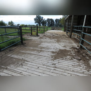 10± acres, home, pole barn, shop building, fenced pastures, and pond. The impressive interior of the home boasts 4 bedrooms and 3 full baths. The master suite is 16â??x16â?? with a large walk-in closet. The master bath has a double sink and a large custom shower. The 22â??x14â?? eat-in kitchen has custom cabinets, granite counter tops, and a brick-front raised fireplace. The large main level also includes the 20â??x14â?? living room with fireplace, 18â??x16â?? family room, 14â??x12â?? office area, mud room, and laundry room. This spacious main level floor plan is ideal for the family as well as entertaining. The full basement is partially finished, and the 2-car attached garage includes a large storage area. Other amenities within the home include a Lennox LP gas forced-air furnace, central air, Pella windows, a newer roof, cathedral ceilings, ceramic tile and wood flooring, ceiling fans, and a Radionon system. The exterior is beautifully landscaped with mature trees, colorful perennials, a small orchard and grape vineyard, a large play area, and a ½ acre stocked pond. The 60â??x50â?? pole barn with walk-in door and 14â??-high end slider includes grooved concrete, maternity pens, custom Gingway gates, a working chute, and 4 individual turn-out pens. There are 6 fenced and cross-fenced pasture areas, each with its own Ritchie waterer. The 34â??x32â?? shop building has a concrete floor, porch, and walk-in and overhead doors.