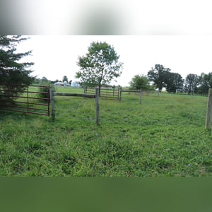 10± acres, home, pole barn, shop building, fenced pastures, and pond. The impressive interior of the home boasts 4 bedrooms and 3 full baths. The master suite is 16â??x16â?? with a large walk-in closet. The master bath has a double sink and a large custom shower. The 22â??x14â?? eat-in kitchen has custom cabinets, granite counter tops, and a brick-front raised fireplace. The large main level also includes the 20â??x14â?? living room with fireplace, 18â??x16â?? family room, 14â??x12â?? office area, mud room, and laundry room. This spacious main level floor plan is ideal for the family as well as entertaining. The full basement is partially finished, and the 2-car attached garage includes a large storage area. Other amenities within the home include a Lennox LP gas forced-air furnace, central air, Pella windows, a newer roof, cathedral ceilings, ceramic tile and wood flooring, ceiling fans, and a Radionon system. The exterior is beautifully landscaped with mature trees, colorful perennials, a small orchard and grape vineyard, a large play area, and a ½ acre stocked pond. The 60â??x50â?? pole barn with walk-in door and 14â??-high end slider includes grooved concrete, maternity pens, custom Gingway gates, a working chute, and 4 individual turn-out pens. There are 6 fenced and cross-fenced pasture areas, each with its own Ritchie waterer. The 34â??x32â?? shop building has a concrete floor, porch, and walk-in and overhead doors.