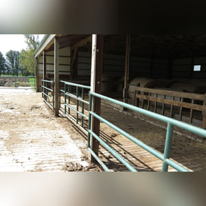 10± acres, home, pole barn, shop building, fenced pastures, and pond. The impressive interior of the home boasts 4 bedrooms and 3 full baths. The master suite is 16â??x16â?? with a large walk-in closet. The master bath has a double sink and a large custom shower. The 22â??x14â?? eat-in kitchen has custom cabinets, granite counter tops, and a brick-front raised fireplace. The large main level also includes the 20â??x14â?? living room with fireplace, 18â??x16â?? family room, 14â??x12â?? office area, mud room, and laundry room. This spacious main level floor plan is ideal for the family as well as entertaining. The full basement is partially finished, and the 2-car attached garage includes a large storage area. Other amenities within the home include a Lennox LP gas forced-air furnace, central air, Pella windows, a newer roof, cathedral ceilings, ceramic tile and wood flooring, ceiling fans, and a Radionon system. The exterior is beautifully landscaped with mature trees, colorful perennials, a small orchard and grape vineyard, a large play area, and a ½ acre stocked pond. The 60â??x50â?? pole barn with walk-in door and 14â??-high end slider includes grooved concrete, maternity pens, custom Gingway gates, a working chute, and 4 individual turn-out pens. There are 6 fenced and cross-fenced pasture areas, each with its own Ritchie waterer. The 34â??x32â?? shop building has a concrete floor, porch, and walk-in and overhead doors.