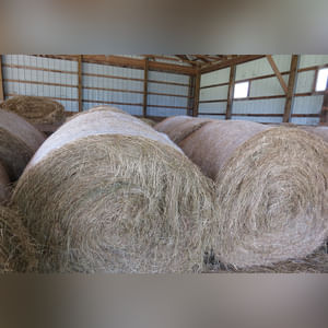 10± acres, home, pole barn, shop building, fenced pastures, and pond. The impressive interior of the home boasts 4 bedrooms and 3 full baths. The master suite is 16â??x16â?? with a large walk-in closet. The master bath has a double sink and a large custom shower. The 22â??x14â?? eat-in kitchen has custom cabinets, granite counter tops, and a brick-front raised fireplace. The large main level also includes the 20â??x14â?? living room with fireplace, 18â??x16â?? family room, 14â??x12â?? office area, mud room, and laundry room. This spacious main level floor plan is ideal for the family as well as entertaining. The full basement is partially finished, and the 2-car attached garage includes a large storage area. Other amenities within the home include a Lennox LP gas forced-air furnace, central air, Pella windows, a newer roof, cathedral ceilings, ceramic tile and wood flooring, ceiling fans, and a Radionon system. The exterior is beautifully landscaped with mature trees, colorful perennials, a small orchard and grape vineyard, a large play area, and a ½ acre stocked pond. The 60â??x50â?? pole barn with walk-in door and 14â??-high end slider includes grooved concrete, maternity pens, custom Gingway gates, a working chute, and 4 individual turn-out pens. There are 6 fenced and cross-fenced pasture areas, each with its own Ritchie waterer. The 34â??x32â?? shop building has a concrete floor, porch, and walk-in and overhead doors.