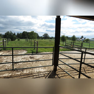 10± acres, home, pole barn, shop building, fenced pastures, and pond. The impressive interior of the home boasts 4 bedrooms and 3 full baths. The master suite is 16â??x16â?? with a large walk-in closet. The master bath has a double sink and a large custom shower. The 22â??x14â?? eat-in kitchen has custom cabinets, granite counter tops, and a brick-front raised fireplace. The large main level also includes the 20â??x14â?? living room with fireplace, 18â??x16â?? family room, 14â??x12â?? office area, mud room, and laundry room. This spacious main level floor plan is ideal for the family as well as entertaining. The full basement is partially finished, and the 2-car attached garage includes a large storage area. Other amenities within the home include a Lennox LP gas forced-air furnace, central air, Pella windows, a newer roof, cathedral ceilings, ceramic tile and wood flooring, ceiling fans, and a Radionon system. The exterior is beautifully landscaped with mature trees, colorful perennials, a small orchard and grape vineyard, a large play area, and a ½ acre stocked pond. The 60â??x50â?? pole barn with walk-in door and 14â??-high end slider includes grooved concrete, maternity pens, custom Gingway gates, a working chute, and 4 individual turn-out pens. There are 6 fenced and cross-fenced pasture areas, each with its own Ritchie waterer. The 34â??x32â?? shop building has a concrete floor, porch, and walk-in and overhead doors.