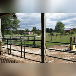 10± acres, home, pole barn, shop building, fenced pastures, and pond. The impressive interior of the home boasts 4 bedrooms and 3 full baths. The master suite is 16â??x16â?? with a large walk-in closet. The master bath has a double sink and a large custom shower. The 22â??x14â?? eat-in kitchen has custom cabinets, granite counter tops, and a brick-front raised fireplace. The large main level also includes the 20â??x14â?? living room with fireplace, 18â??x16â?? family room, 14â??x12â?? office area, mud room, and laundry room. This spacious main level floor plan is ideal for the family as well as entertaining. The full basement is partially finished, and the 2-car attached garage includes a large storage area. Other amenities within the home include a Lennox LP gas forced-air furnace, central air, Pella windows, a newer roof, cathedral ceilings, ceramic tile and wood flooring, ceiling fans, and a Radionon system. The exterior is beautifully landscaped with mature trees, colorful perennials, a small orchard and grape vineyard, a large play area, and a ½ acre stocked pond. The 60â??x50â?? pole barn with walk-in door and 14â??-high end slider includes grooved concrete, maternity pens, custom Gingway gates, a working chute, and 4 individual turn-out pens. There are 6 fenced and cross-fenced pasture areas, each with its own Ritchie waterer. The 34â??x32â?? shop building has a concrete floor, porch, and walk-in and overhead doors.