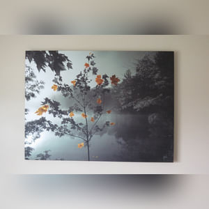 Farm Related Equipment/Cattle Equipment, Household & Miscellaneous, Tools, Lawn & Garden, Patio Furniture, Appliances, Furniture, Guns & Accessories