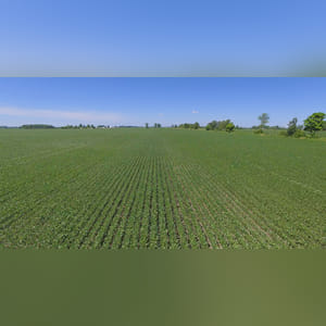 Located along Jenks and Edgefield roads. 110± acres of mostly tillable cropland. Brookston, Crosby, and Celina are the predominate soil types of this prime, level, continuous field.