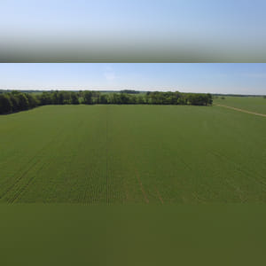 Located along Jenks Road. 24.5± acres of primarily Brookston soils. This farm provides easy access, quality cropland, and a great location.