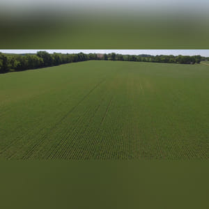 Located along Jenks Road. 24.5± acres of primarily Brookston soils. This farm provides easy access, quality cropland, and a great location.