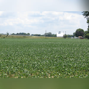 Located along S. Charleston Road with a 2nd point of access from Greenview Street. 18+ acres of Ragsdale, Reesville, and Xenia soils. Investigate the income potential offered here with excellent soils in a location that offers many opportunities.