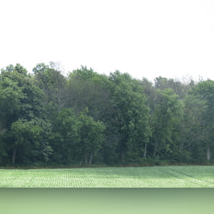 Located along S. Charleston Road. 23± acres of mostly wooded land with mixed hardwood trees. Consider the recreational/hunting value as well as the possibility of a beautiful building site.