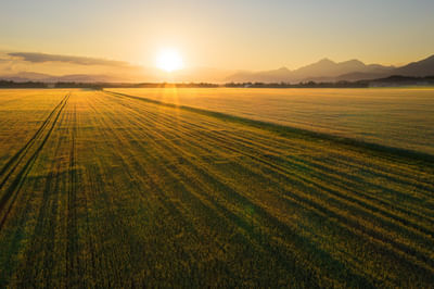 Featured Photo
